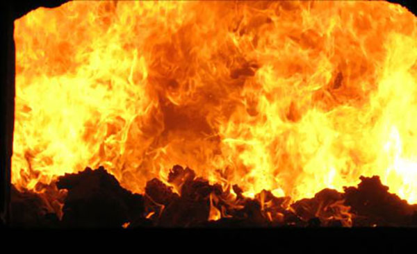 污泥干化焚燒 污泥干化焚燒